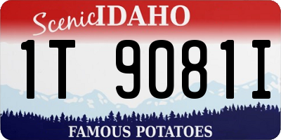 ID license plate 1T9081I