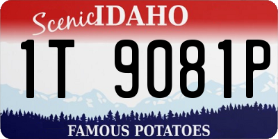 ID license plate 1T9081P