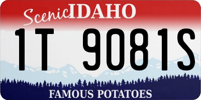 ID license plate 1T9081S