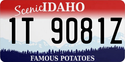 ID license plate 1T9081Z