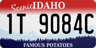 ID license plate 1T9084C