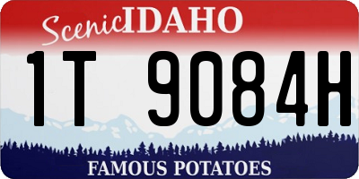 ID license plate 1T9084H