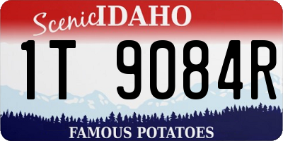 ID license plate 1T9084R