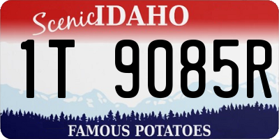 ID license plate 1T9085R