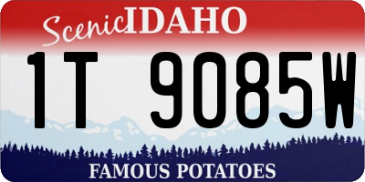 ID license plate 1T9085W