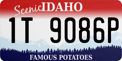 ID license plate 1T9086P