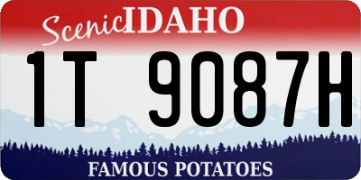 ID license plate 1T9087H