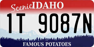 ID license plate 1T9087N