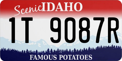ID license plate 1T9087R