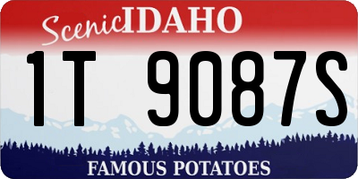 ID license plate 1T9087S