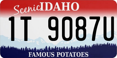 ID license plate 1T9087U