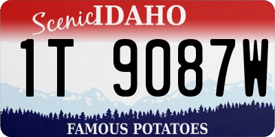 ID license plate 1T9087W
