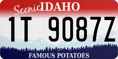 ID license plate 1T9087Z