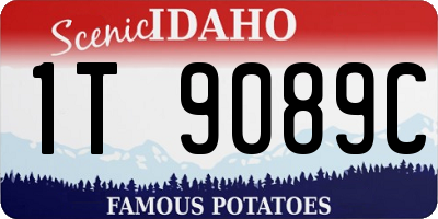 ID license plate 1T9089C