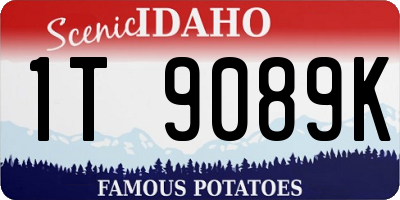ID license plate 1T9089K