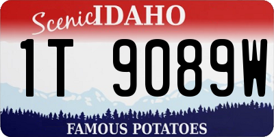 ID license plate 1T9089W