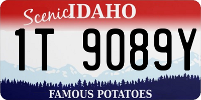 ID license plate 1T9089Y