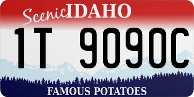 ID license plate 1T9090C