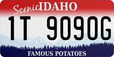 ID license plate 1T9090G