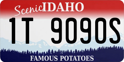 ID license plate 1T9090S