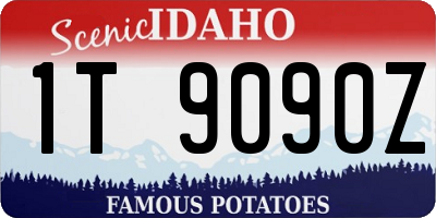 ID license plate 1T9090Z