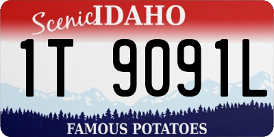 ID license plate 1T9091L