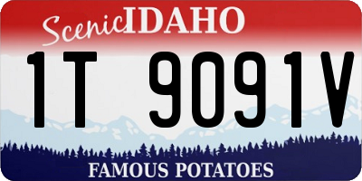 ID license plate 1T9091V