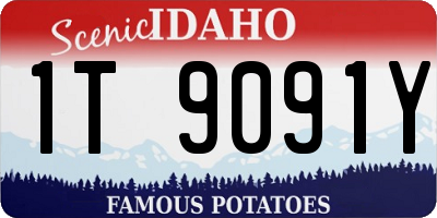 ID license plate 1T9091Y