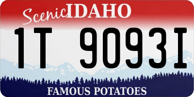 ID license plate 1T9093I