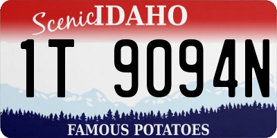 ID license plate 1T9094N