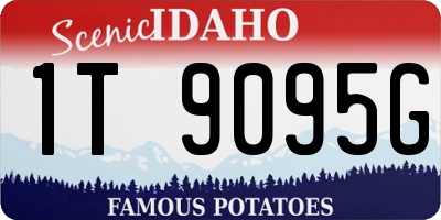 ID license plate 1T9095G