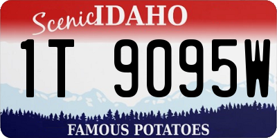 ID license plate 1T9095W