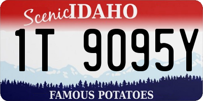 ID license plate 1T9095Y