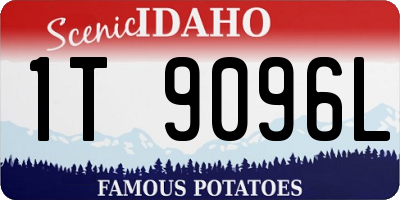 ID license plate 1T9096L