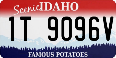 ID license plate 1T9096V