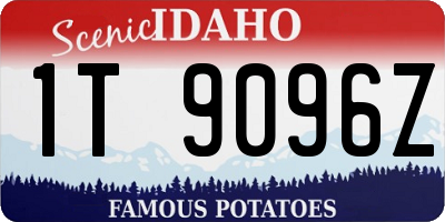 ID license plate 1T9096Z