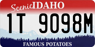 ID license plate 1T9098M