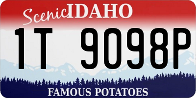 ID license plate 1T9098P