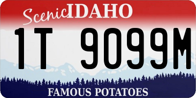 ID license plate 1T9099M
