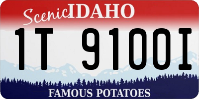 ID license plate 1T9100I