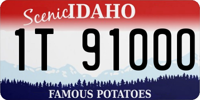 ID license plate 1T9100O