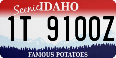ID license plate 1T9100Z