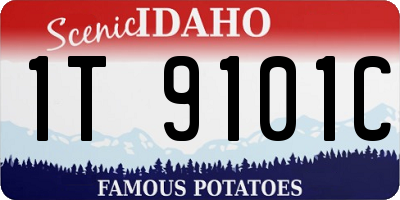 ID license plate 1T9101C