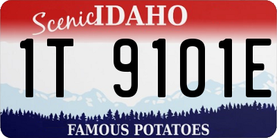 ID license plate 1T9101E