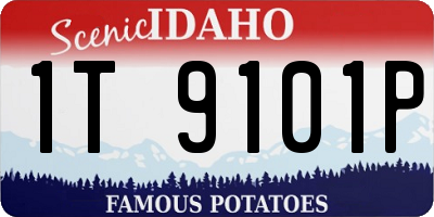 ID license plate 1T9101P