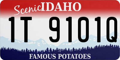 ID license plate 1T9101Q