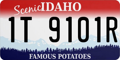 ID license plate 1T9101R
