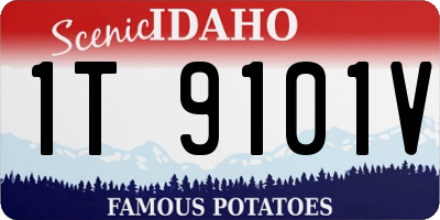 ID license plate 1T9101V