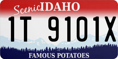 ID license plate 1T9101X