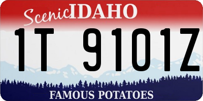 ID license plate 1T9101Z